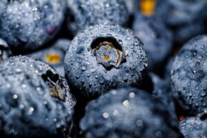 Close-up image of fresh blueberries covered in dew, highlighting their texture.